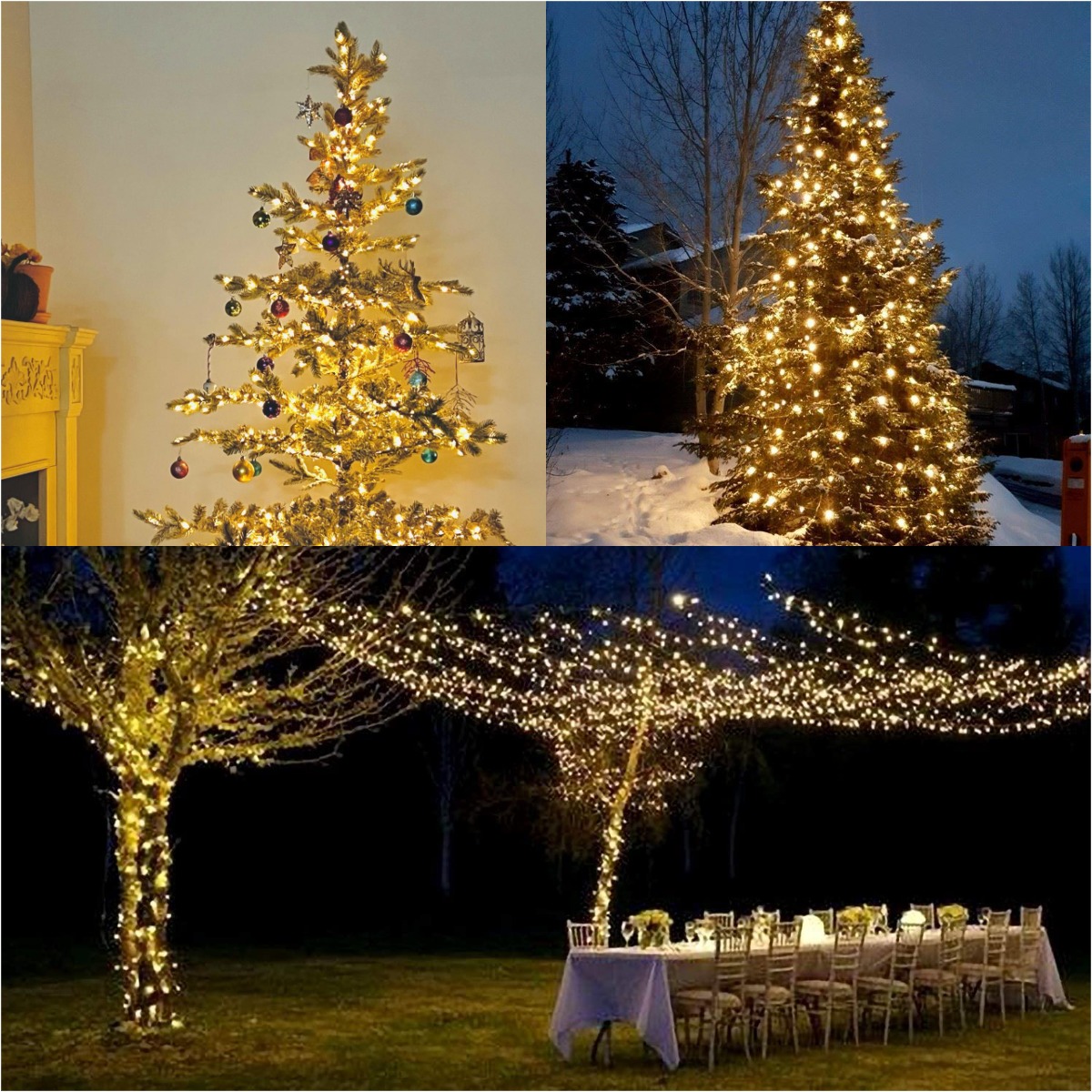 More LED Green Wire Garland St - đánh giá và giá Lighting Decor And More